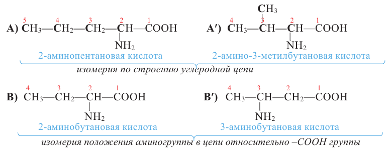 Азотсодержащие органические соединения в химии - формулы и определения с примерами