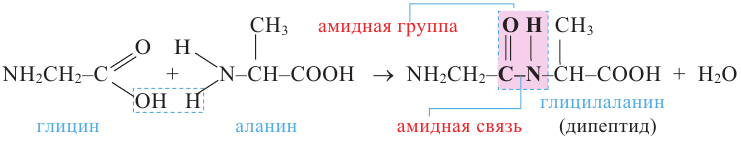 Азотсодержащие органические соединения в химии - формулы и определения с примерами