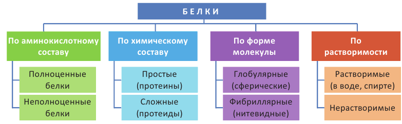 Азотсодержащие органические соединения в химии - формулы и определения с примерами