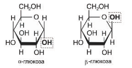 Органическая химия - основные понятия, что изучает, формулы и определения с примерами