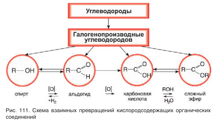 Органическая химия - основные понятия, что изучает, формулы и определения с примерами