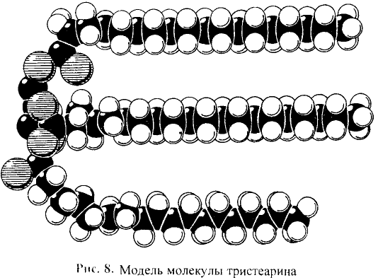 Органические соединения в химии - формулы, реакции и определения с примерами