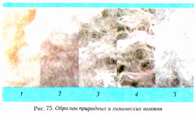 Теория химического строения органических соединений А. М. Бутлерова в химии с примерами