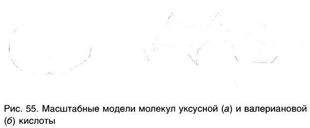 Карбоновые кислоты в химии - свойства, формула, получение, номенклатура и определение с примерами