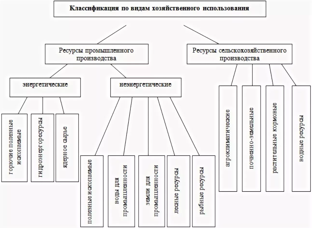 Природные ресурсы квалификация. Классификация природных ресурсов по применению схема. Классификация природных ресурсов по видам хоз использования. Хозяйственная классификация природных ресурсов схема. Классификация природных ресурсов по применению.