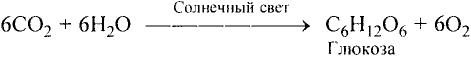 Органические соединения в химии - формулы, реакции и определения с примерами