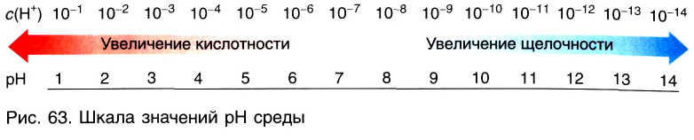 Растворы в химии - виды, получение, формулы и определения с примерами