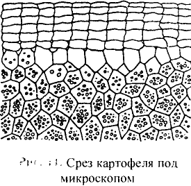 Органические соединения в химии - формулы, реакции и определения с примерами