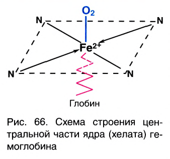 Комплексные соединения в химии - формулы и определение с примерами