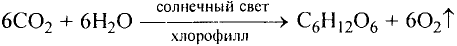 Основные законы и понятия химии - формулы, определения с примерами