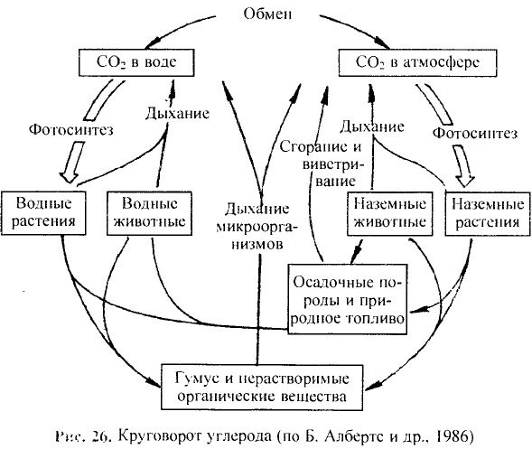 Основные законы и понятия химии - формулы, определения с примерами