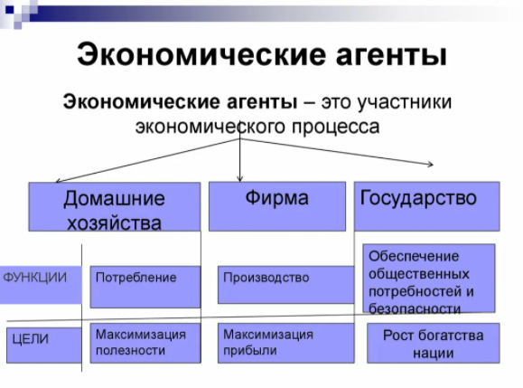 Экономические агенты - общие характеристики и функции