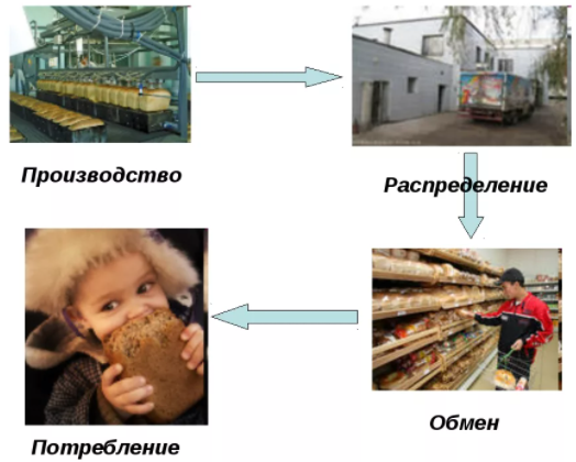 Экономика как наука - значение термина, появление, цели и ресурсы