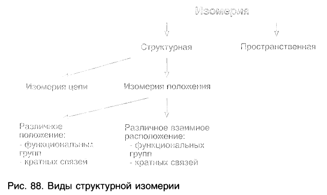 Органическая химия - основные понятия, что изучает, формулы и определения с примерами