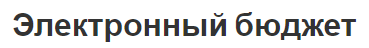Электронный бюджет - причины, плюсы и минусы, концепция и суть