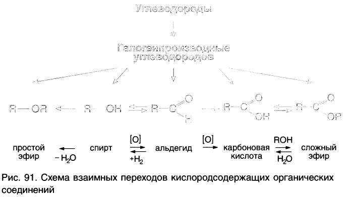 Органическая химия - основные понятия, что изучает, формулы и определения с примерами