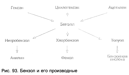 Органическая химия - основные понятия, что изучает, формулы и определения с примерами