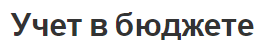 Учет в бюджете - основы, концепция и задачи