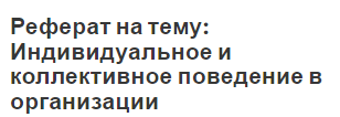 Реферат на тему: Индивидуальное и коллективное поведение в организации