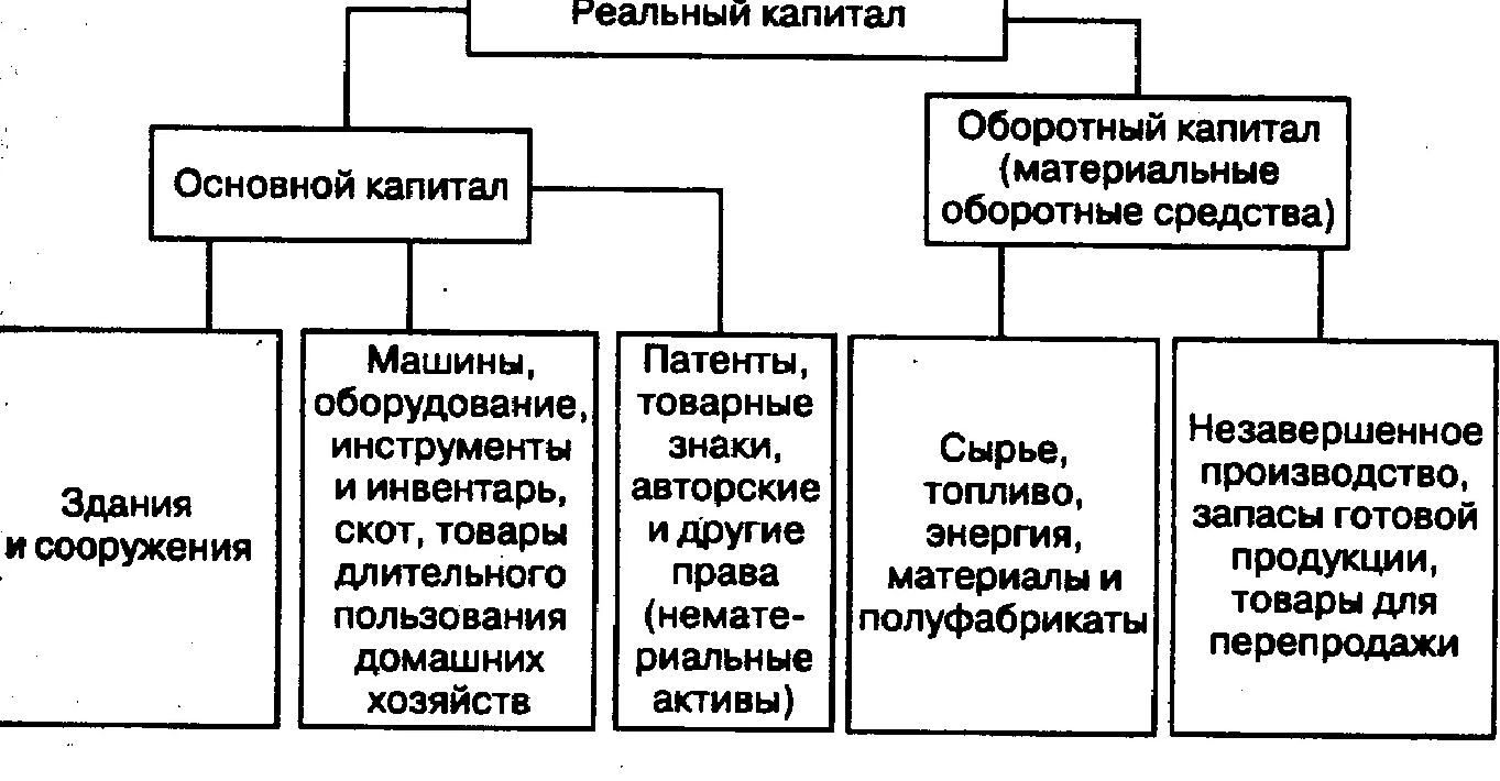 Назовите формы капитала