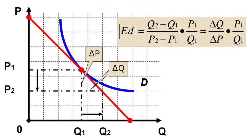Точечная эластичность спроса - анализ, концепция и типы