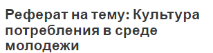 Реферат на тему: Культура потребления в среде молодежи