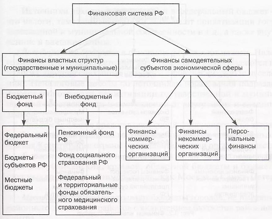 Субъекты государственных финансов - концепция и суть