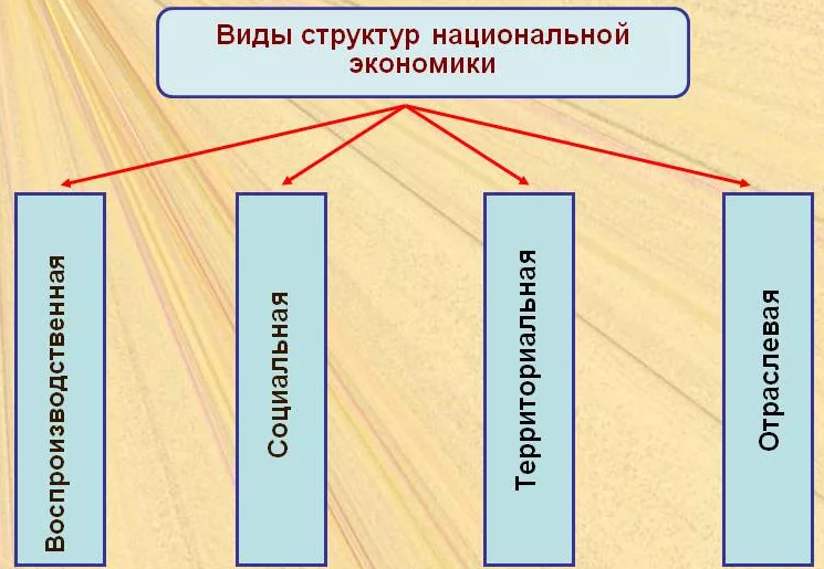 Структура экономики планового типа - понятия, концепция и суть