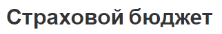 Страховой бюджет - концепция, виды и структура