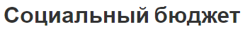 Социальный бюджет - характеристика, концепция и виды