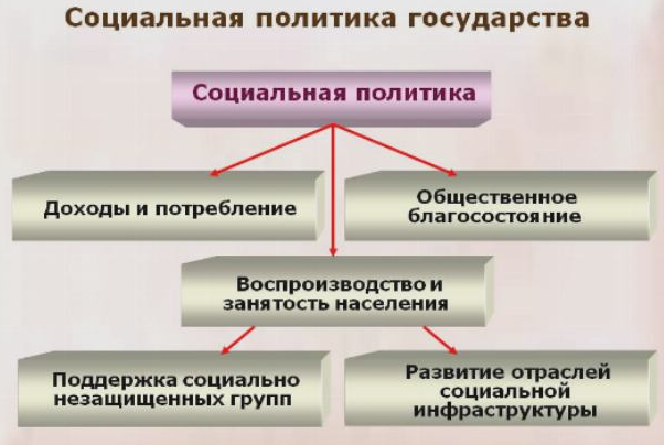 Социальная политика государства - сущность, содержание, принципы и направления