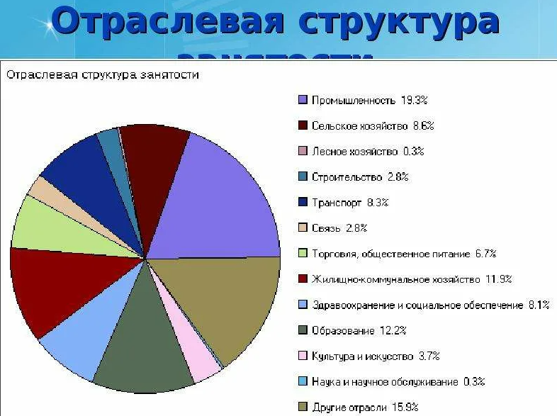 Структура рабочей силы, сегментация рынка труда - анализ, определения и понятия