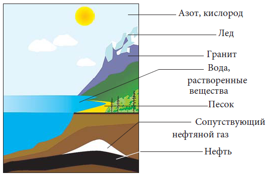 Практическое задание по теме Круговорот Азота (доклад)