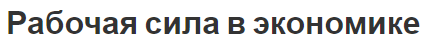 Рабочая сила в экономике - содержание, характеристики, концепция и категории труда