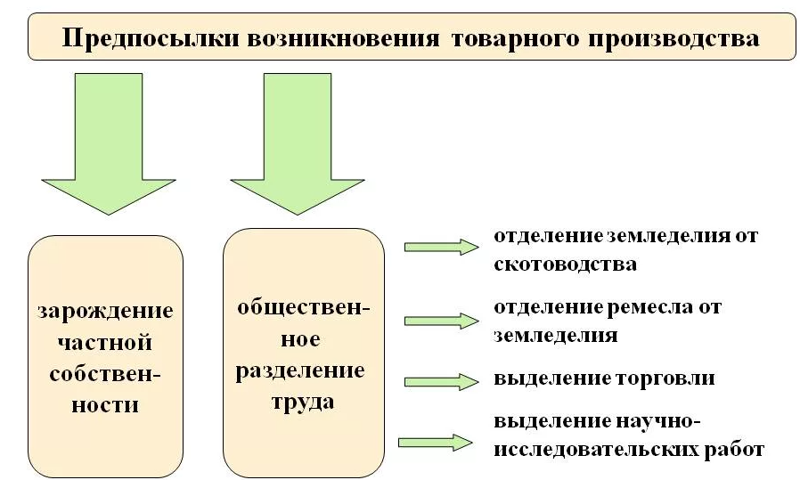 Развитие товарного хозяйства в России - характеристики, концепция, сущность и предпосылки возникновения