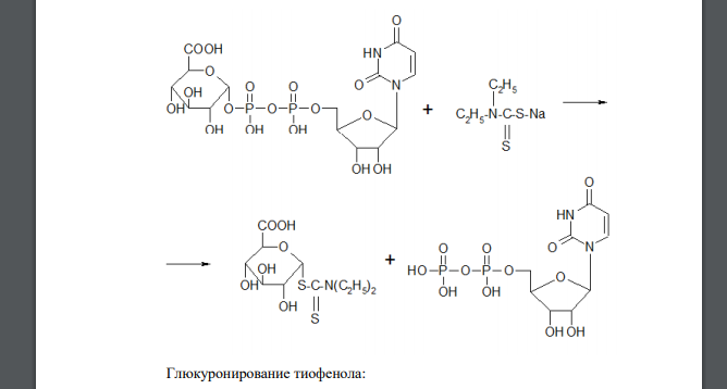 Приведите примеры глюкуронирования для различных субстратов:  (получение S-глюкуронида) с участием косубстрата – уридиндифосфата глюкуроновой кислоты (UDP-глюкуроновая кислота) и фермента UDPглюкуроно