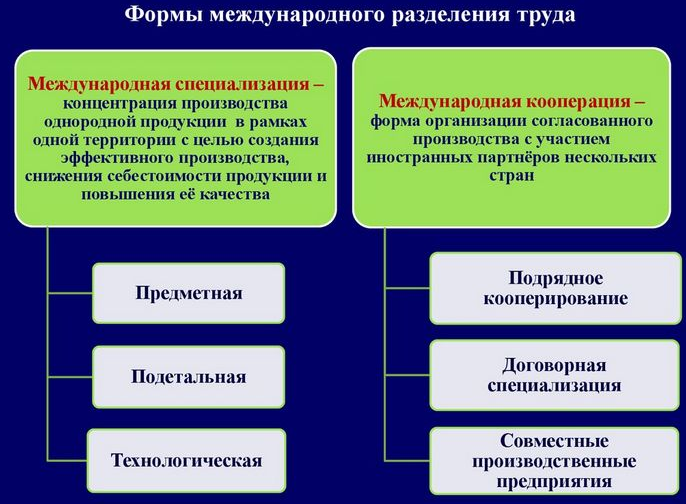 Разделение труда - концепция, принцип организации и степень