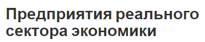 Предприятия реального сектора экономики - сущность, субъекты, объекты и разбивка по секторам