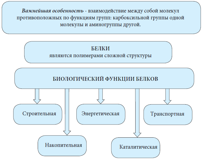 Химия - примеры с решением заданий и выполнением задач