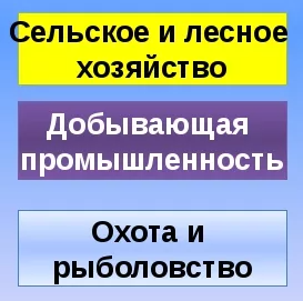 Первичный и вторичный сектора экономики - секторы, понятие и виды