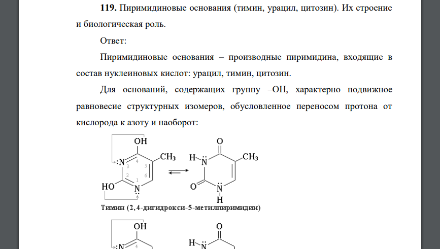 Что содержат основания. Минорные пиримидиновые основания. пиримидиновые основания функции. тимин это пиримидиновые основания. строение пиримидина.