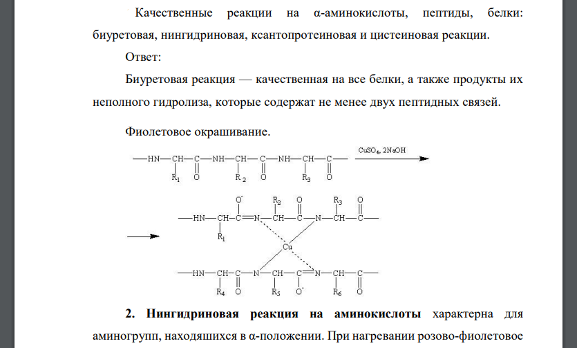 Качественные реакции на α-аминокислоты, пептиды, белки: биуретовая, нингидриновая, ксантопротеиновая и цистеиновая реакции.