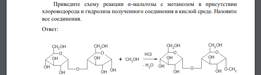 Приведите схему реакции α-мальтозы с метанолом в присутствии хлороводорода и гидролиза полученного соединения в кислой среде. Назовите все соединения.