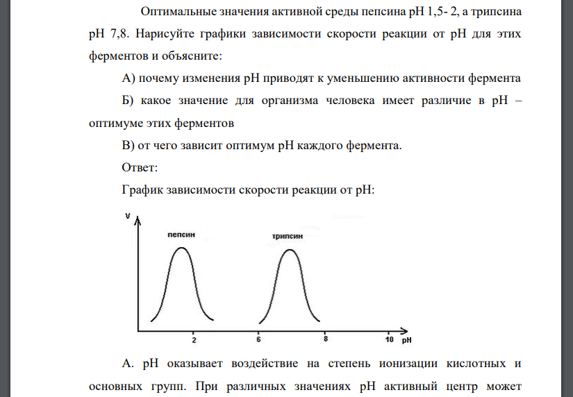 Оптимальные значения активной среды пепсина рН 1,5- 2, а трипсина рН 7,8. Нарисуйте графики зависимости скорости