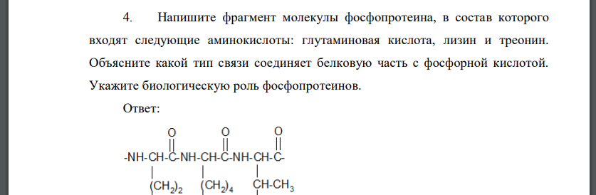 Напишите фрагмент молекулы фосфопротеина, в состав которого входят следующие аминокислоты: глутаминовая кислота, лизин и треонин.