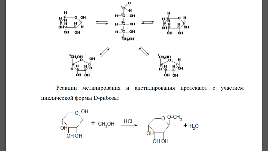 Напишите формулы строения заданных углеводов (в случае полисахаридов – формулы элементарных звеньев). К какому типу углеводов они относятся?
