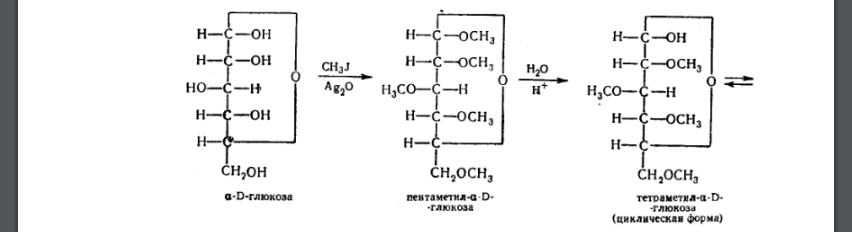 Реакции метилирования Д-глюкозы. Применение метода метилирования для определения пиранозного и фуранозного характера цикла моносахаридов.