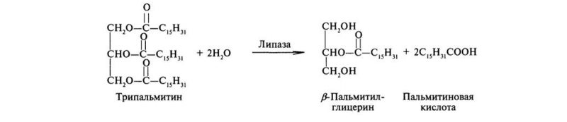 Для заданного фермента: А) напишите уравнение (или схему) катализируемой реакции. Определите, к какому классу