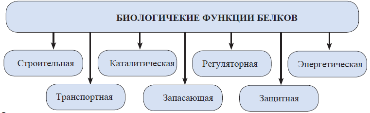 Химия - примеры с решением заданий и выполнением задач