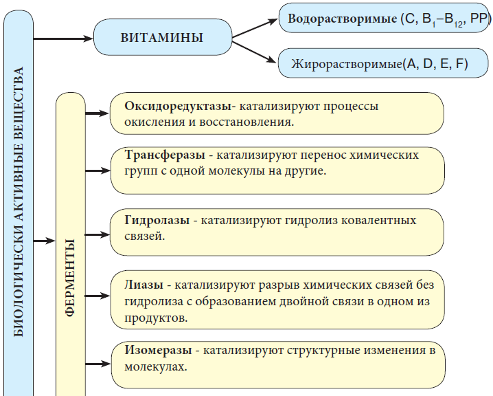 Химия - примеры с решением заданий и выполнением задач